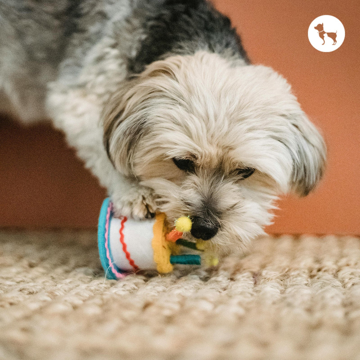 Why Chew Toys Are Essential for Your Dog's Mental Health (Not Just Pla