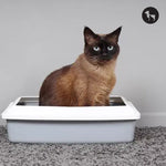 Clumping vs Tofu vs Clay Cat Litter: Which is the Best for Smell Control and Easy Cleaning