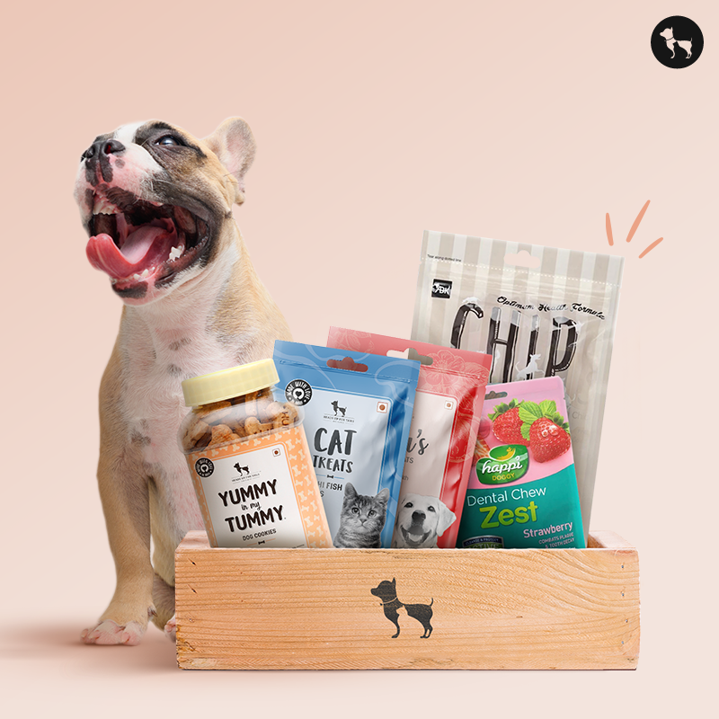 Top 10 Treats For Dogs In 2024