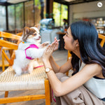 Top 10 Pet-Friendly Dog Cafes In Delhi, Loved By All Pet Lovers