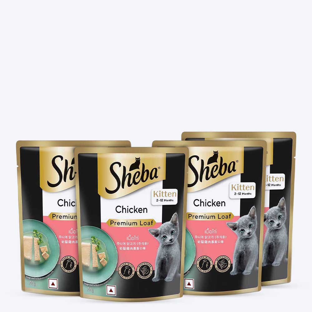 Sheba Chicken Premium Loaf Wet Kitten Food - 70 gm Packs - Heads Up For Tails