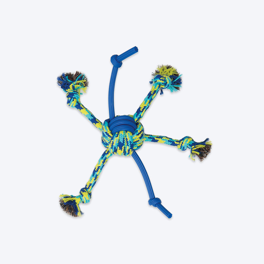 Zeus Fitness Rope &amp; TPR Spider Ball Fetch Dog Toy - Green/Blue