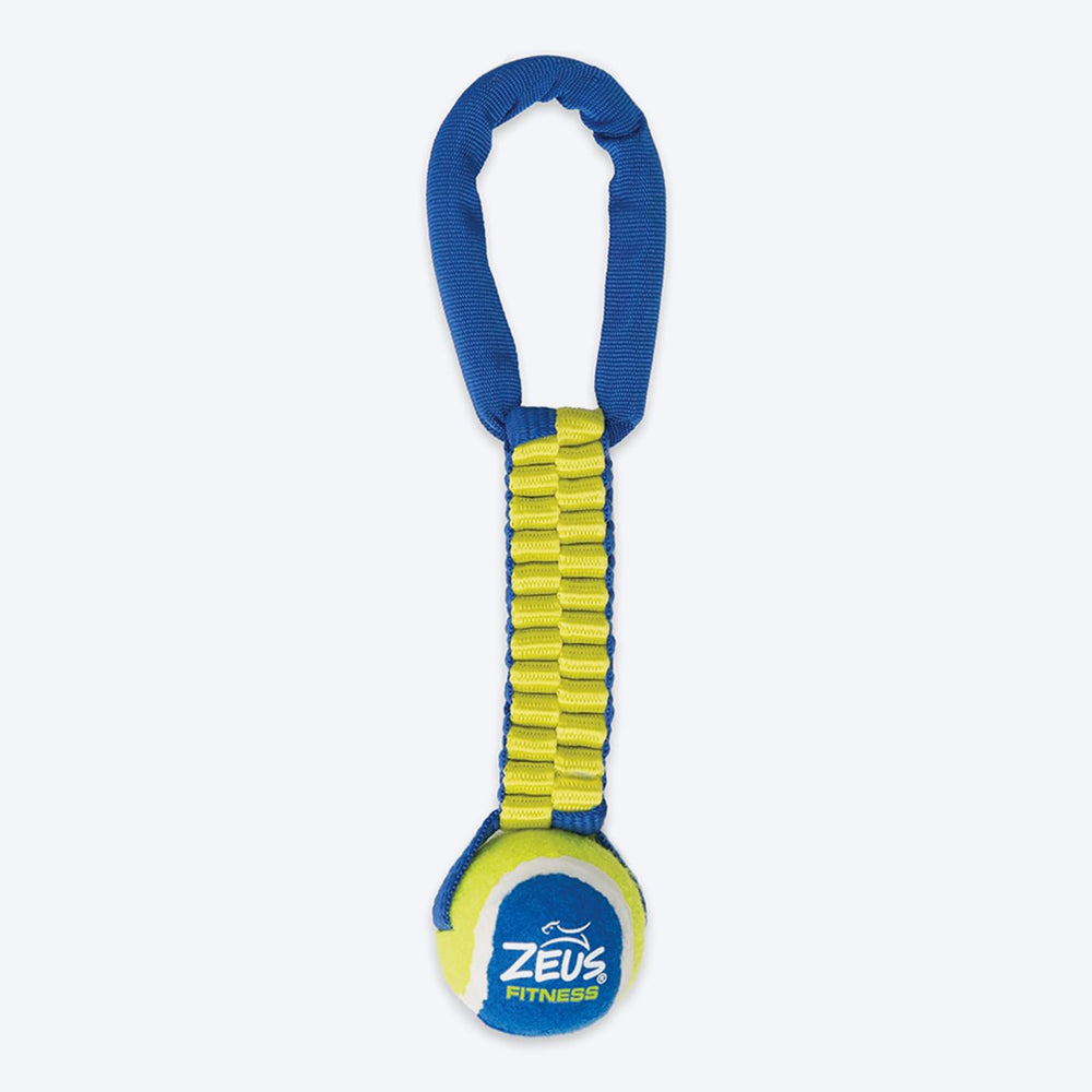 Zeus Fitness Tennis Ball Nylon Twist Tug Fetch Dog Toy - Green &amp; Blue