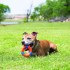 Chuckit! Ultra Ring Dog Toy - Orange & Blue - Heads Up For Tails