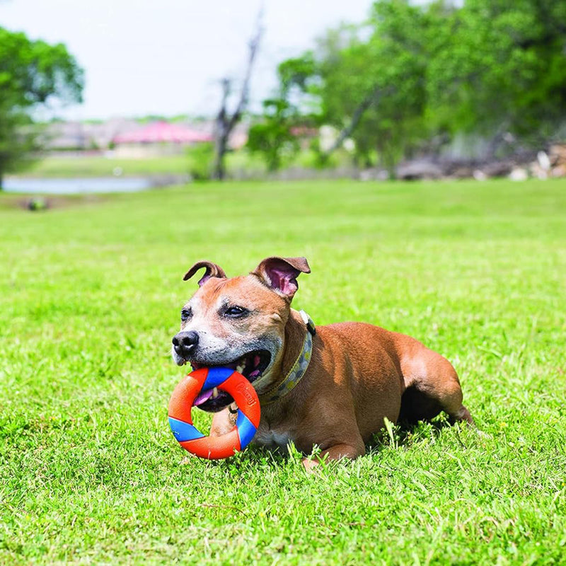 Chuckit! Ultra Ring Dog Toy - Orange & Blue - Heads Up For Tails