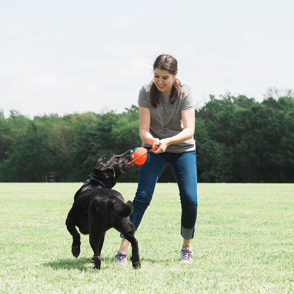 Chuckit! Rope Fetch Dog Toy - Orange & Blue - Heads Up For Tails