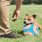 Chuckit! Whistle Flight Dog Toy - Orange & Blue - Heads Up For Tails