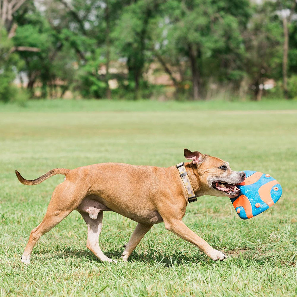 Chuckit! Whistle Flight Dog Toy - Orange & Blue - Heads Up For Tails