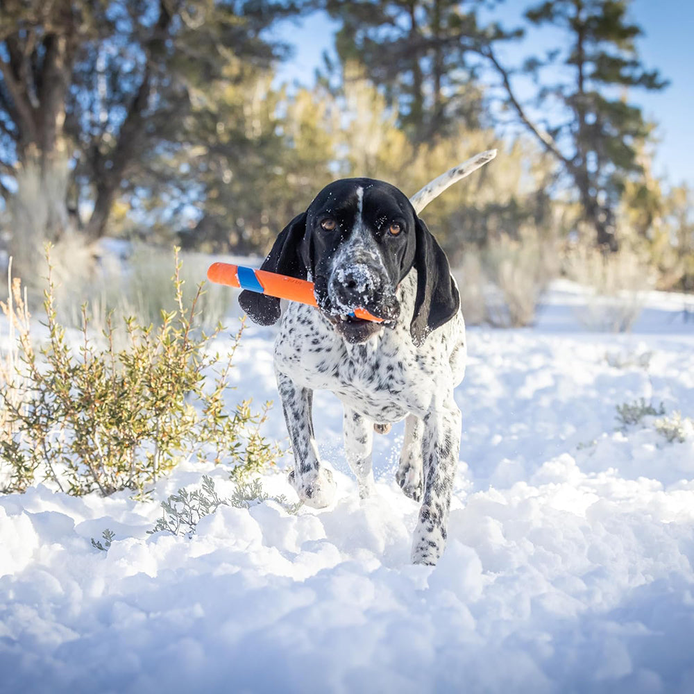 Chuckit! Ultra Fetch Stick Dog Toy - Orange & Blue - Heads Up For Tails