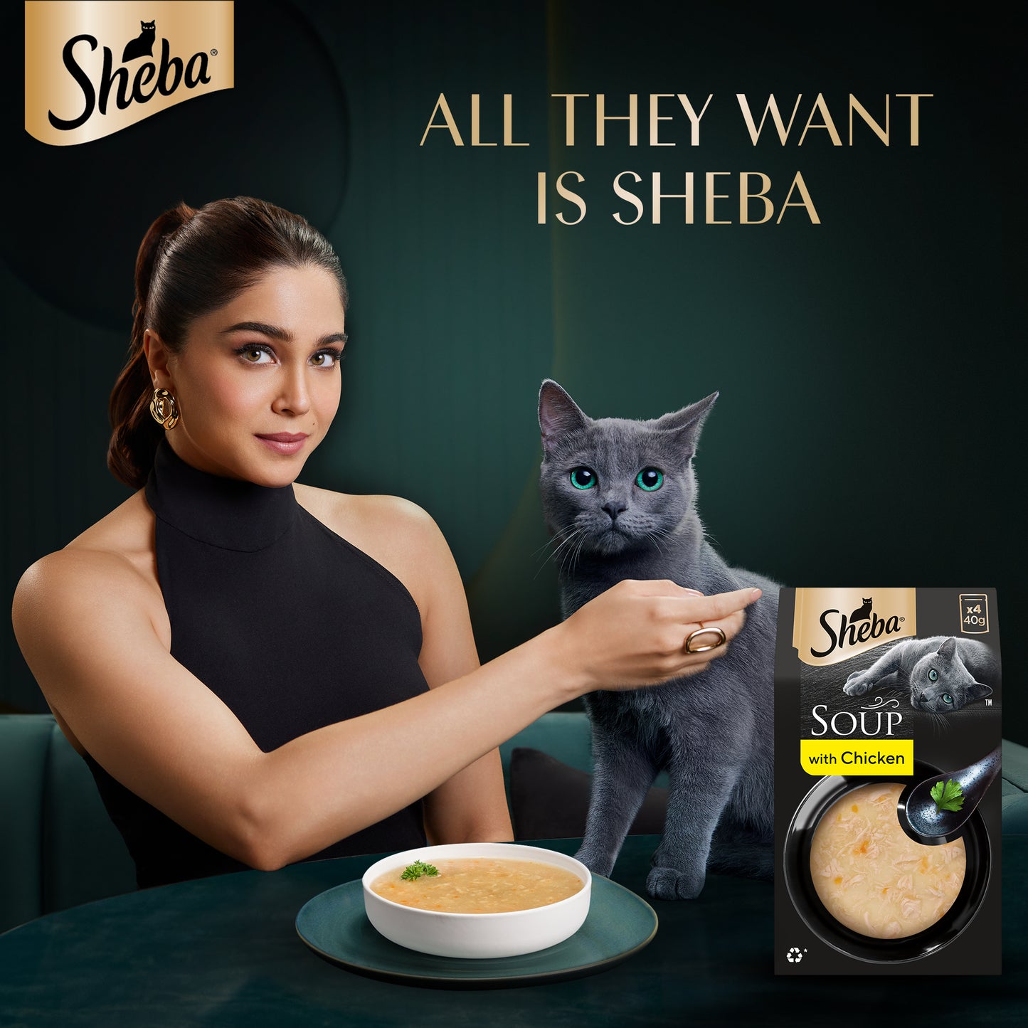 Sheba Soup With Chicken Wet Food For Cat - 40 gm x 4 pcs - Heads Up For Tails