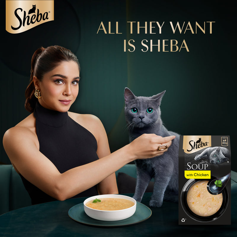 Sheba Soup With Chicken Wet Food For Cat - 40 gm x 4 pcs - Heads Up For Tails