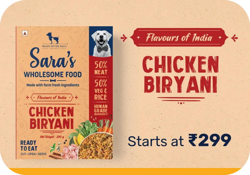 Biryani for Dogs