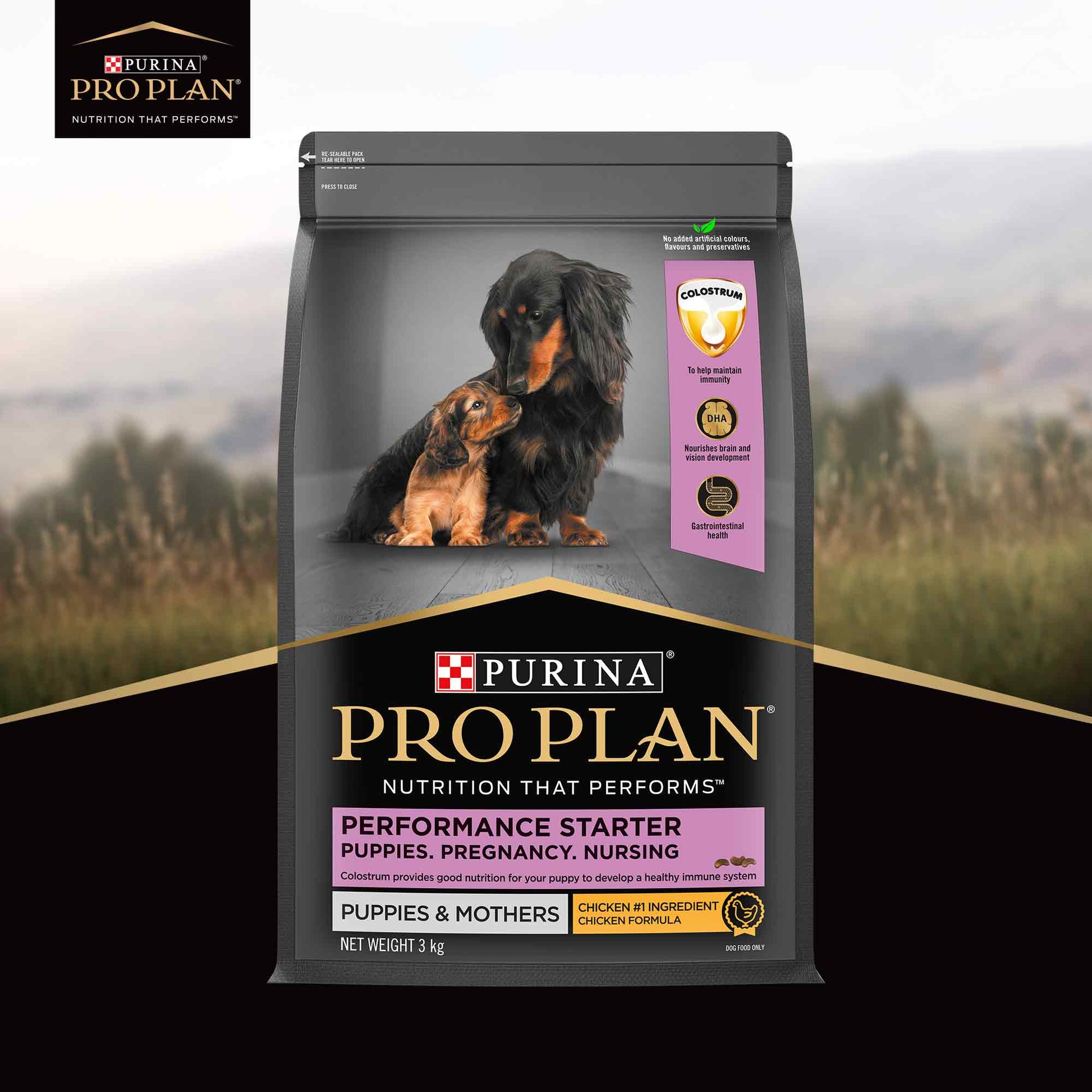 PURINA PRO PLAN Performance Starter Kit Dry Food For Puppy - Heads Up For Tails