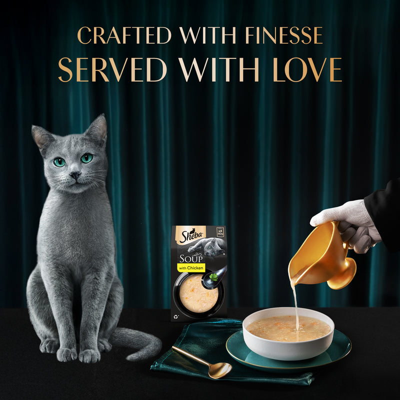 Sheba Soup With Chicken Wet Food For Cat - 40 gm x 4 pcs - Heads Up For Tails