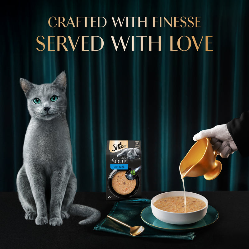 Sheba Soup With Tuna Wet Food For Cat - 40 gm x 4 pcs - Heads Up For Tails