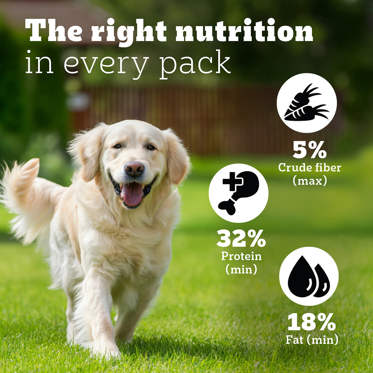 Pedigree PRO Expert Nutrition Lactating/Pregnant Mother & Puppy Starter (3-12 Weeks) Large Breed Dog Dry Food - Heads Up For Tails