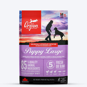 Orijen Grain Free Large Breed Dry Puppy Food_01
