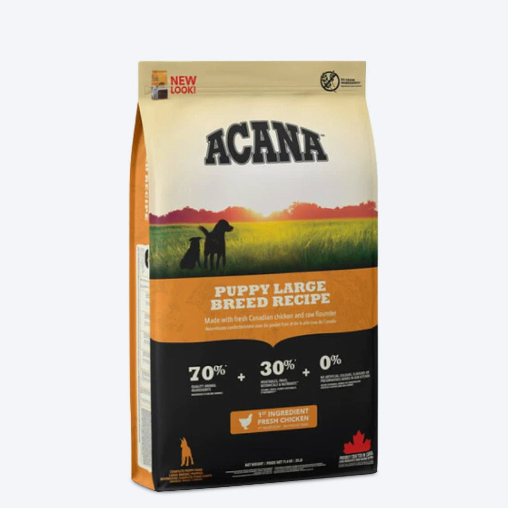 Best rated dry dog food for large outlet breeds