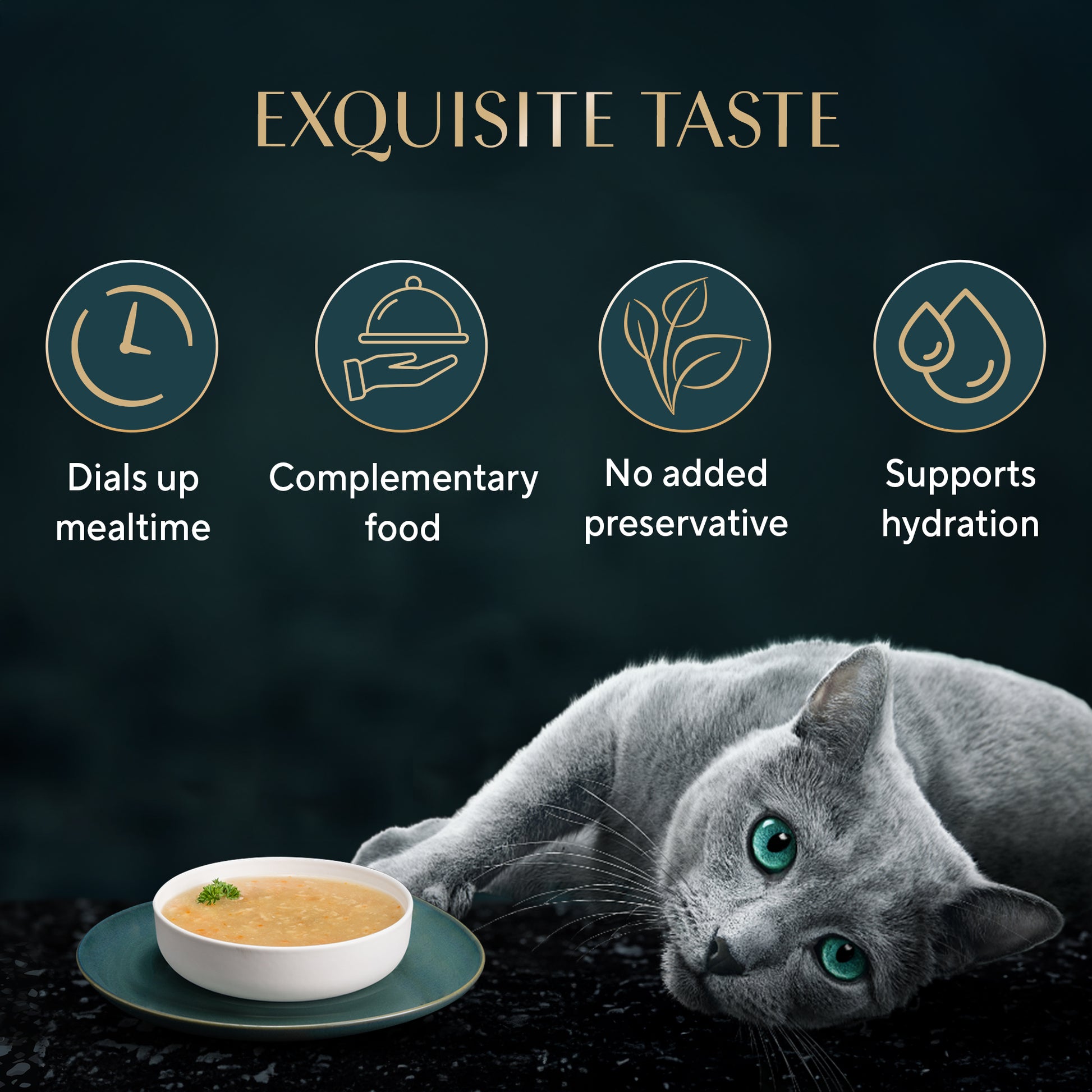 Sheba Soup With Chicken Wet Food For Cat - 40 gm x 4 pcs - Heads Up For Tails