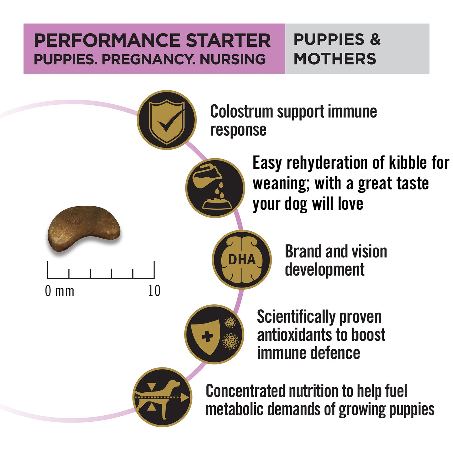 PURINA PRO PLAN Performance Starter Kit Dry Food For Puppy - Heads Up For Tails