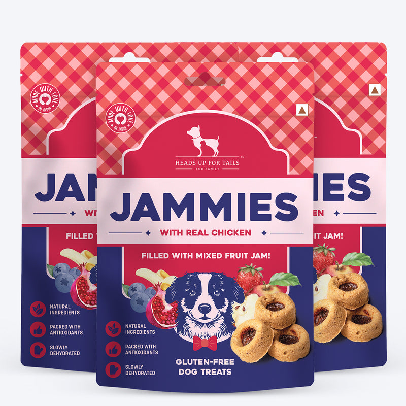 HUFT Jammies - Chicken Filled With Mixed Fruit Jam Dog Treats - 100 g - Heads Up For Tails