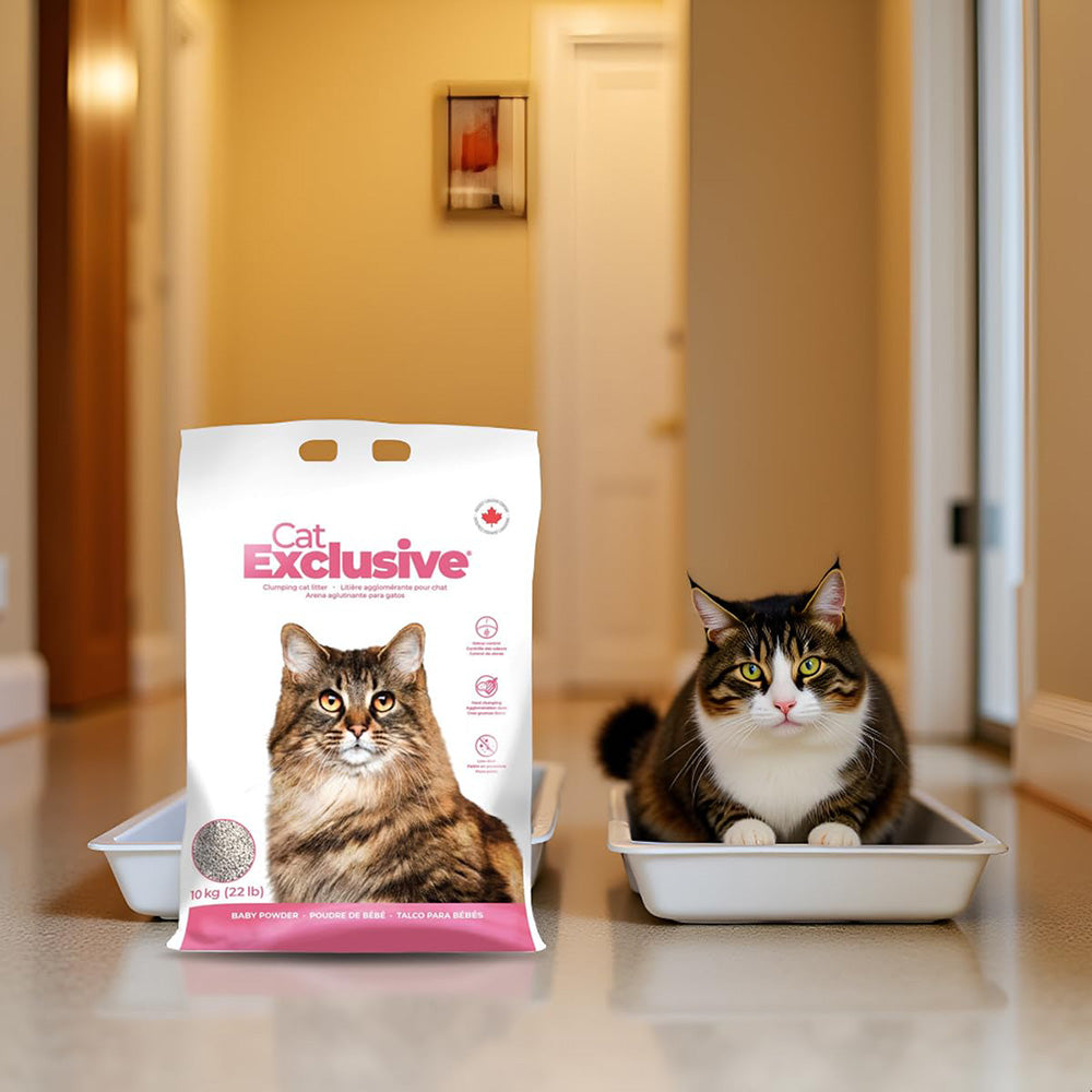 Intersand Cat Exclusive Clumping Cat Litter - Baby Powder - 10 kg