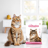 Intersand Cat Exclusive Clumping Cat Litter - Baby Powder - 10 kg