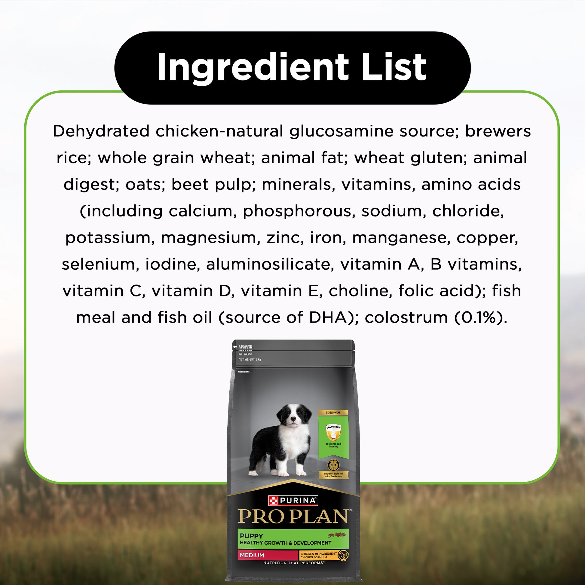 PURINA PRO PLAN Medium Breed Dry Food For Puppy - Heads Up For Tails