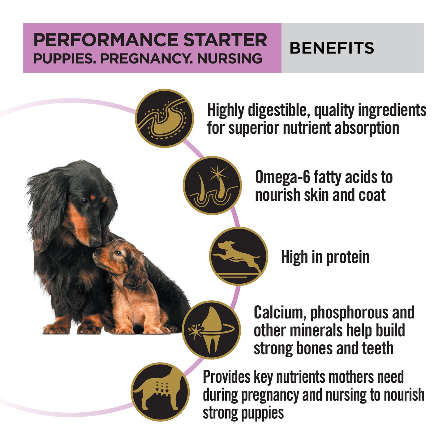 PURINA PRO PLAN Performance Starter Kit Dry Food For Puppy - Heads Up For Tails