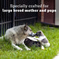 Pedigree PRO Expert Nutrition Lactating/Pregnant Mother & Puppy Starter (3-12 Weeks) Large Breed Dog Dry Food - Heads Up For Tails