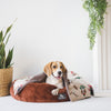 HUFT Snuggle Sphere Donut Bed For Dog & Cat - Brown - Heads Up For Tails