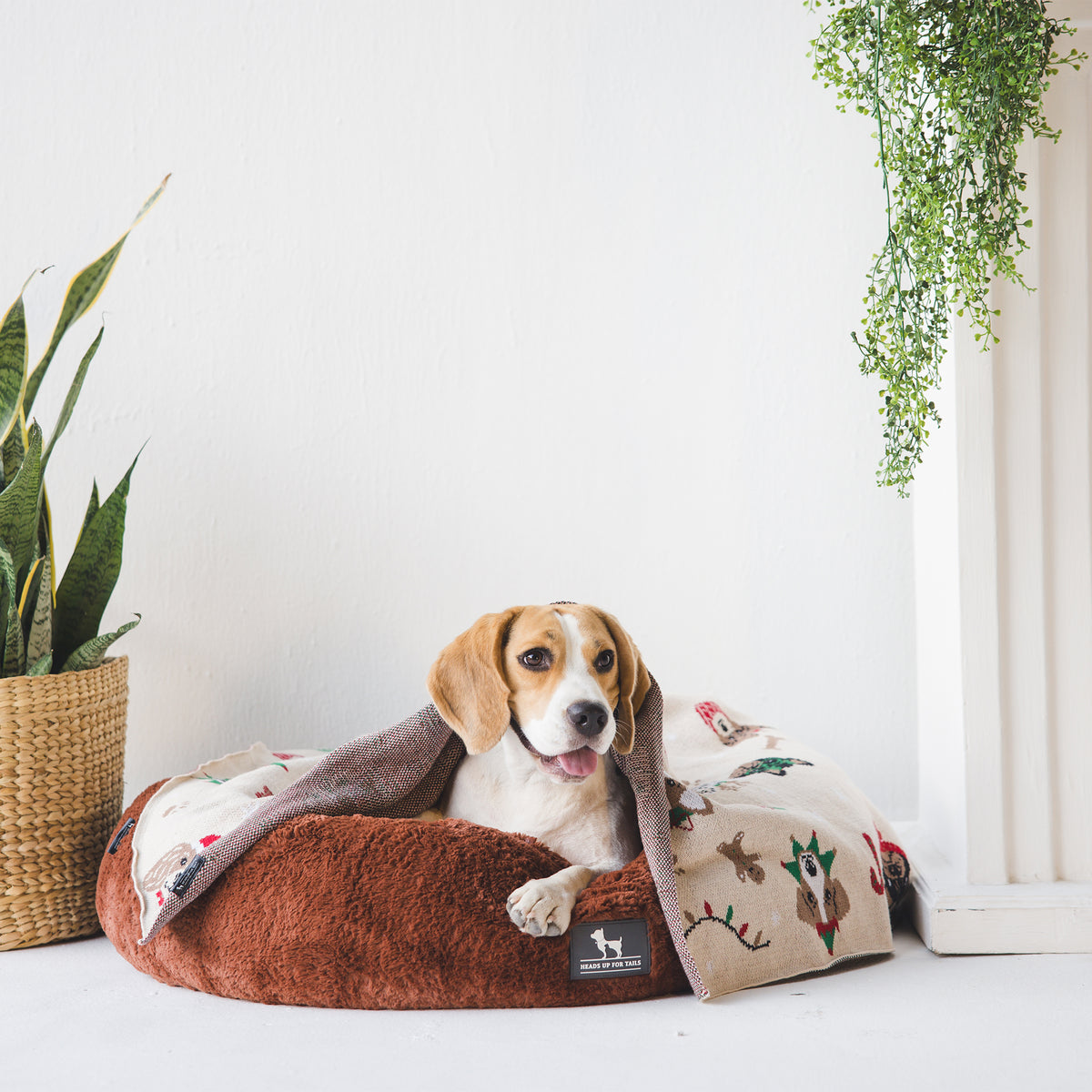 HUFT Snuggle Sphere Donut Bed For Dog & Cat - Brown - Heads Up For Tails