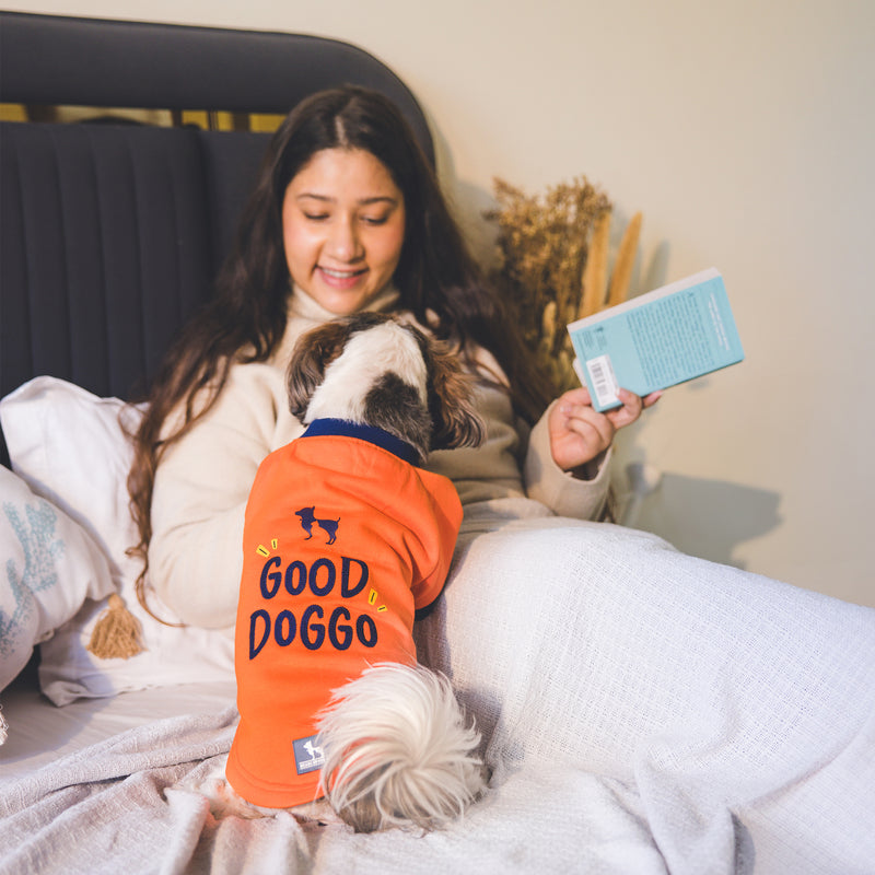 HUFT Good Doggo Pet Sweatshirt  - Orange - Heads Up For Tails