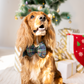 HUFT Paws 'N' Claus Bow Tie With Strap For Dog - Emerald Green