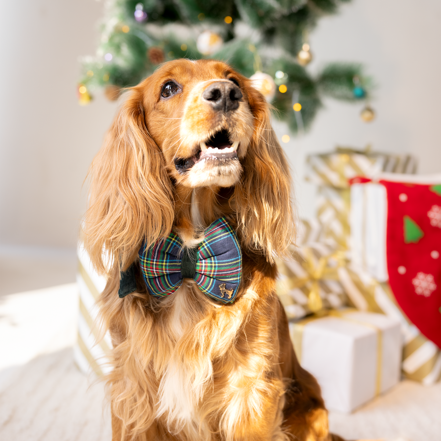 HUFT Paws 'N' Claus Bow Tie With Strap For Dog - Emerald Green