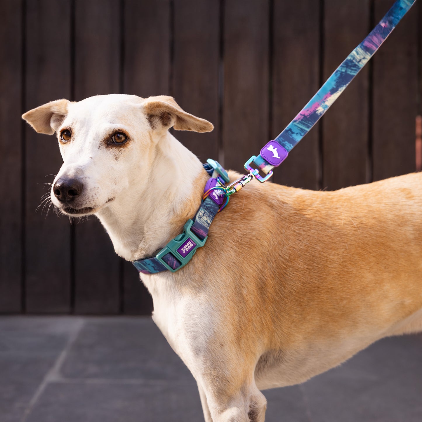 Dash Dog Wild Ridge Waterproof Dog Collar & Leash Set - Green