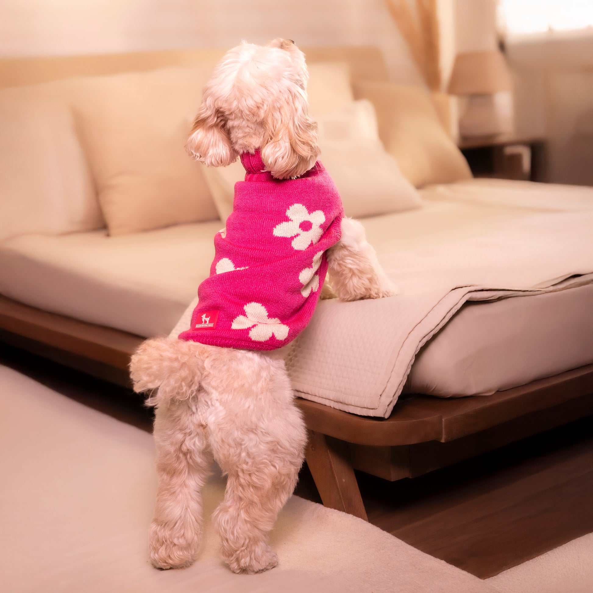 HUFT Blossom Knit Sweater For Dog - Pink - Heads Up For Tails