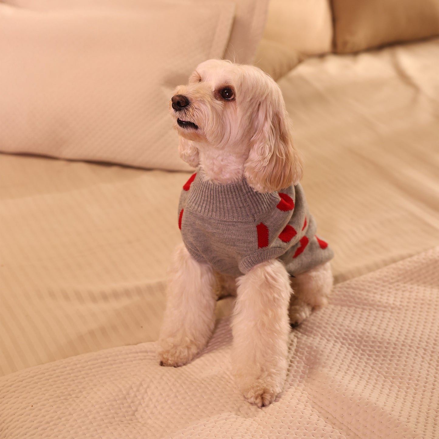 HUFT Classic Love Sweater For Small Dog - Grey - Heads Up For Tails