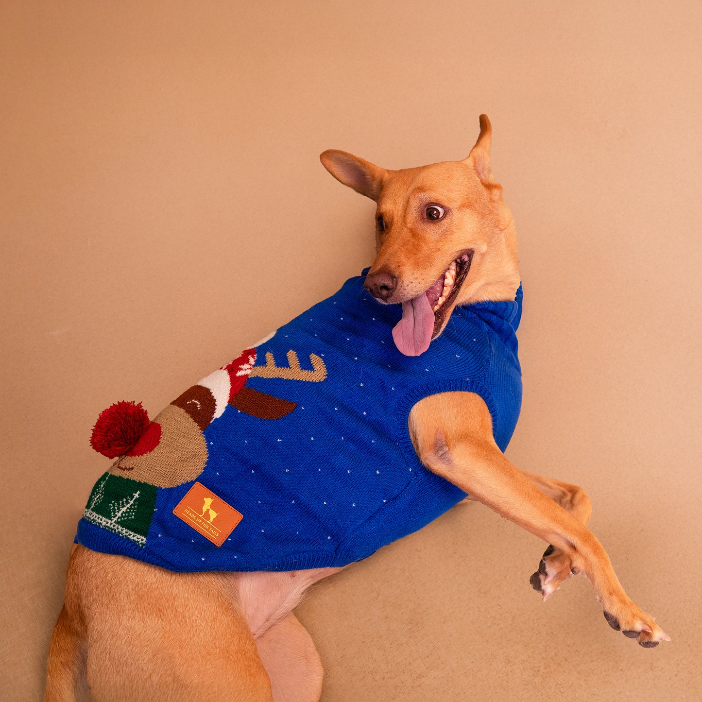 HUFT Reindeer Cheer Sweater For Dog - Blue - Heads Up For Tails