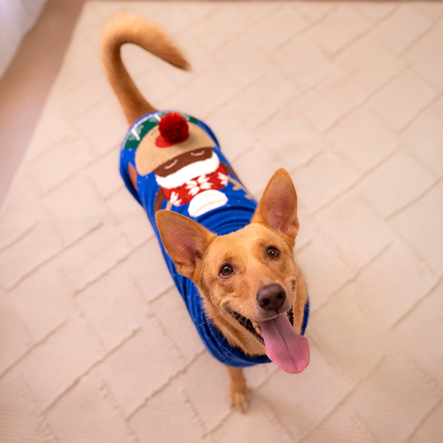 HUFT Reindeer Cheer Sweater For Dog - Blue - Heads Up For Tails