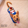 HUFT Reindeer Cheer Sweater For Dog - Blue