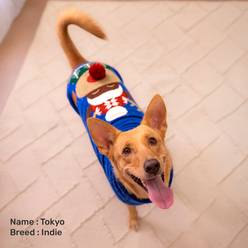 HUFT Reindeer Cheer Sweater For Dog - Blue
