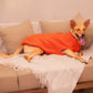 HUFT Winter Spice Sweater For Dog - Orange - Heads Up For Tails