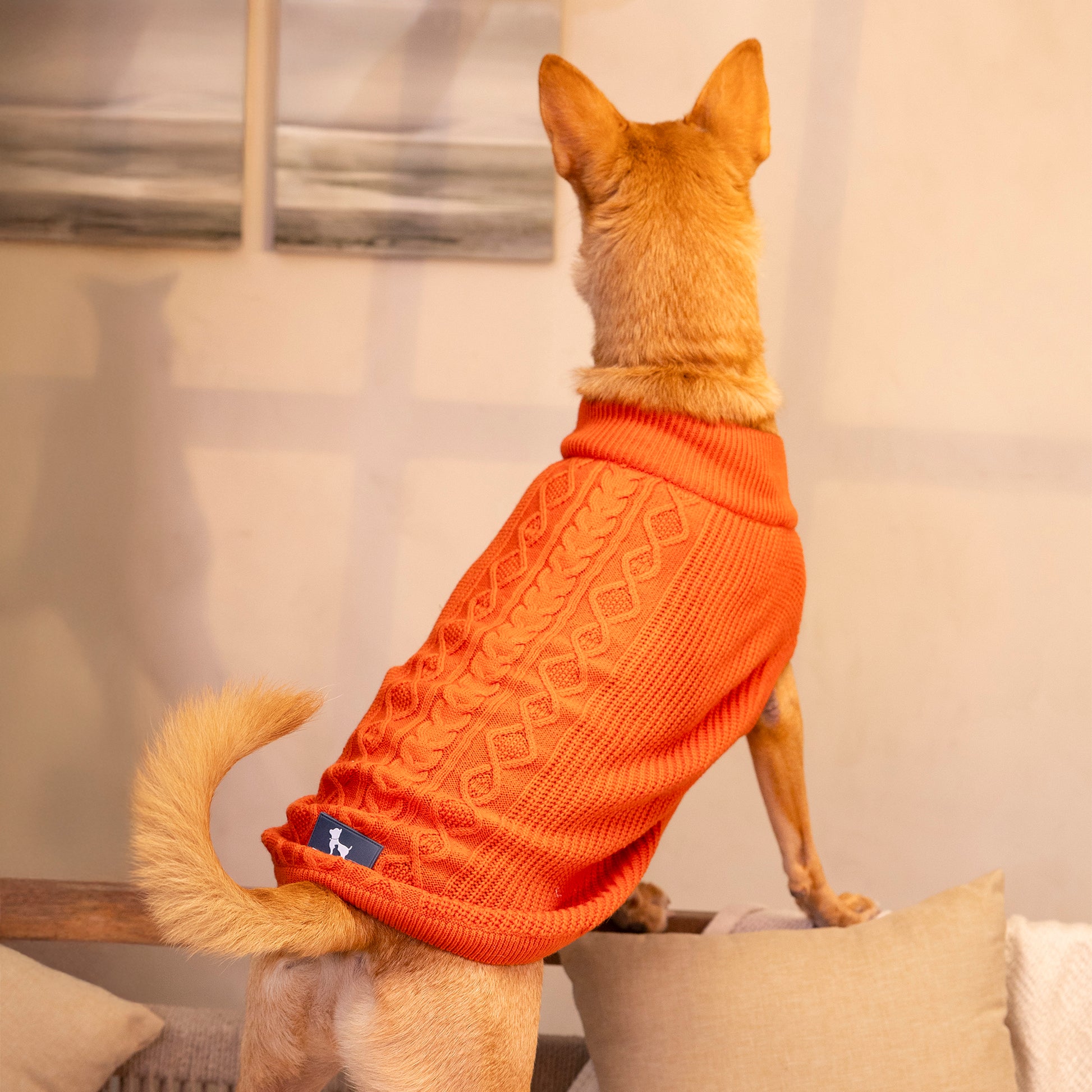 HUFT Winter Spice Sweater For Dog - Orange - Heads Up For Tails