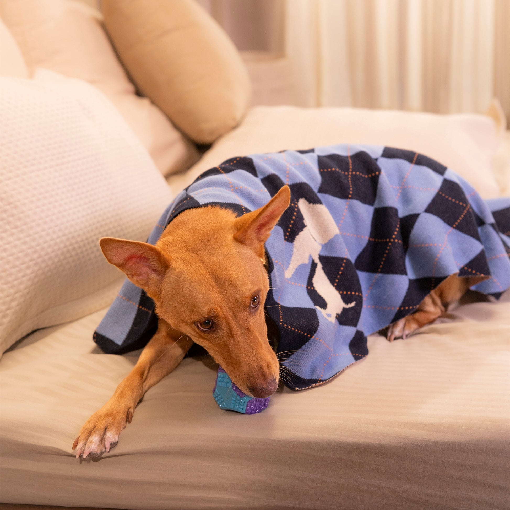 HUFT Cuddle Checks Blanket For Dog & Cat - Blue - Heads Up For Tails