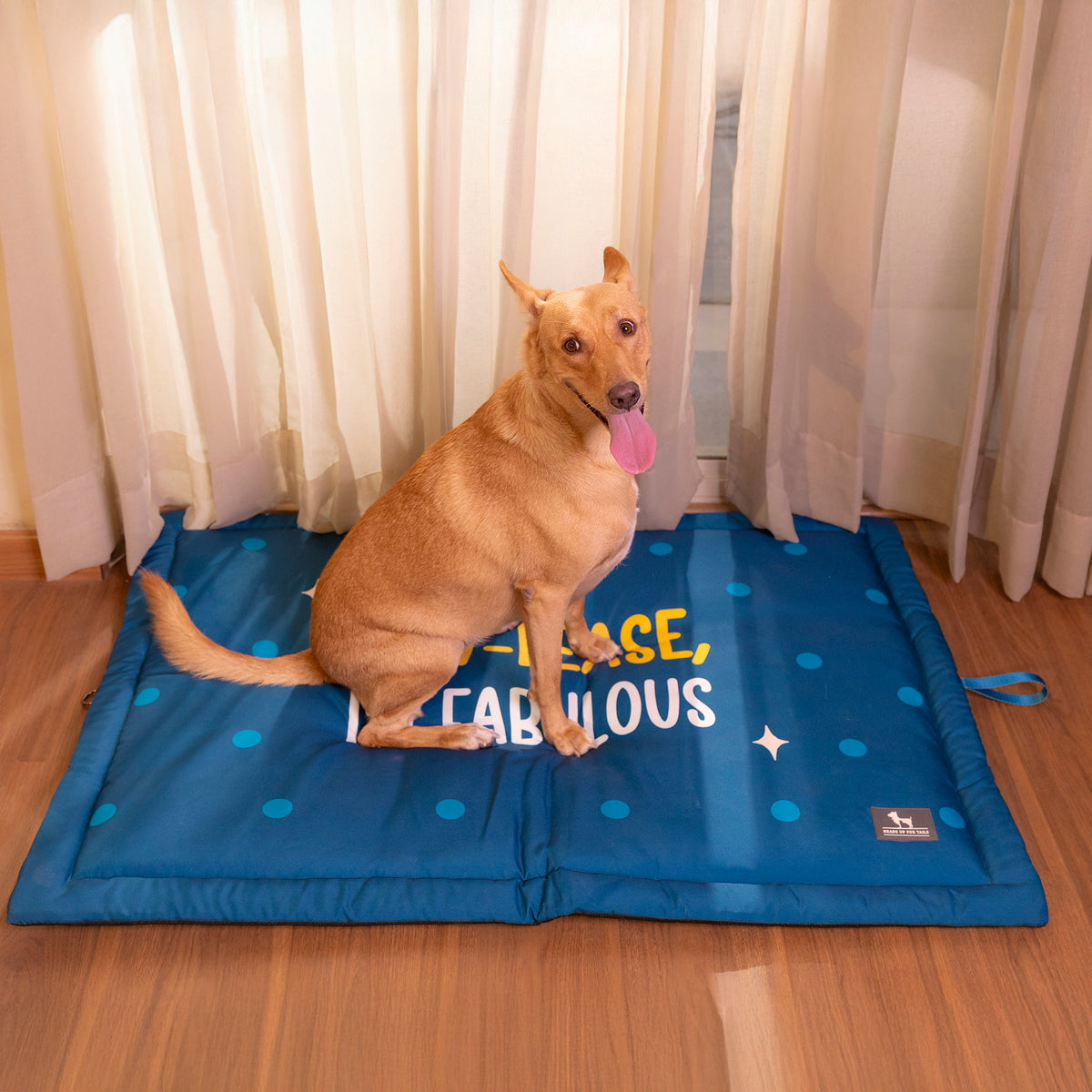 HUFT Pawlease I'm Fabulous Mat For Dog - Teal Blue - Heads Up For Tails