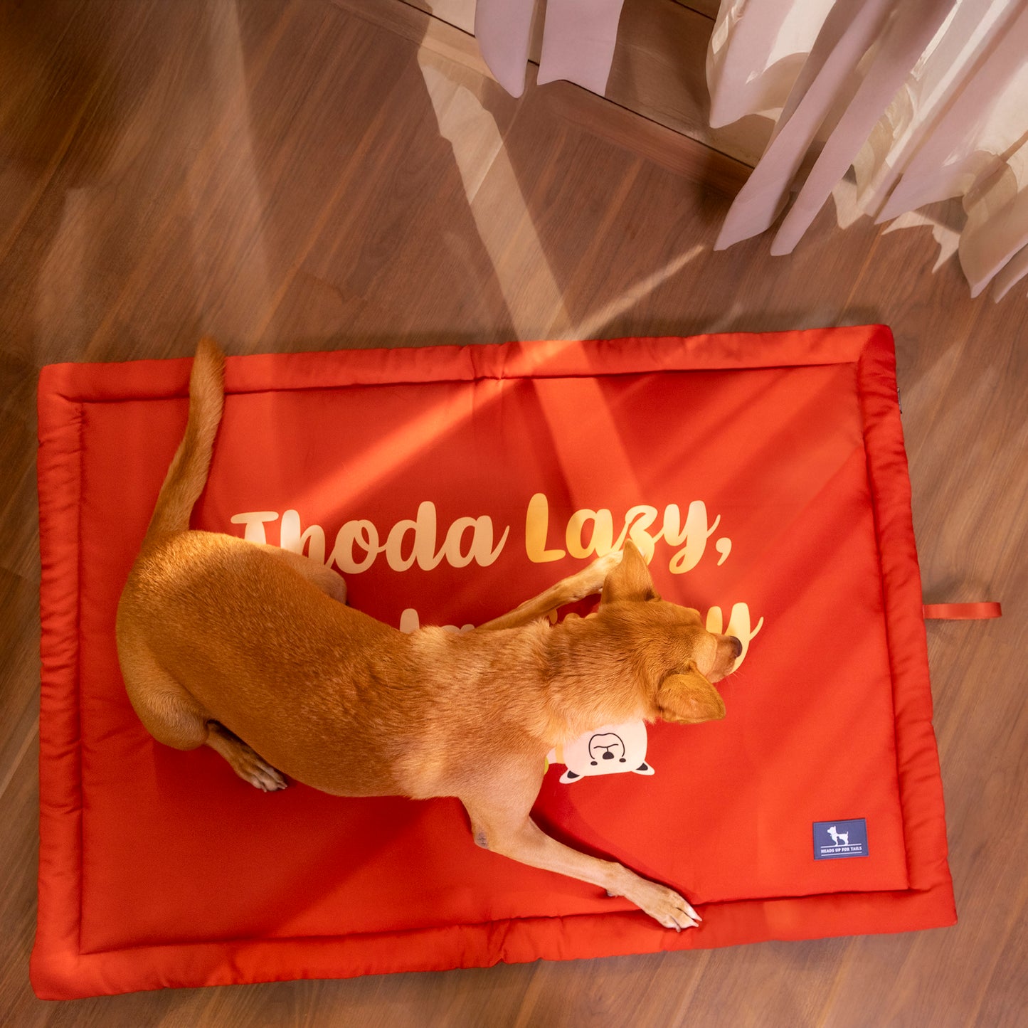 HUFT Thoda Lazy Thoda Crazy Mat For Dog - Rust - Heads Up For Tails