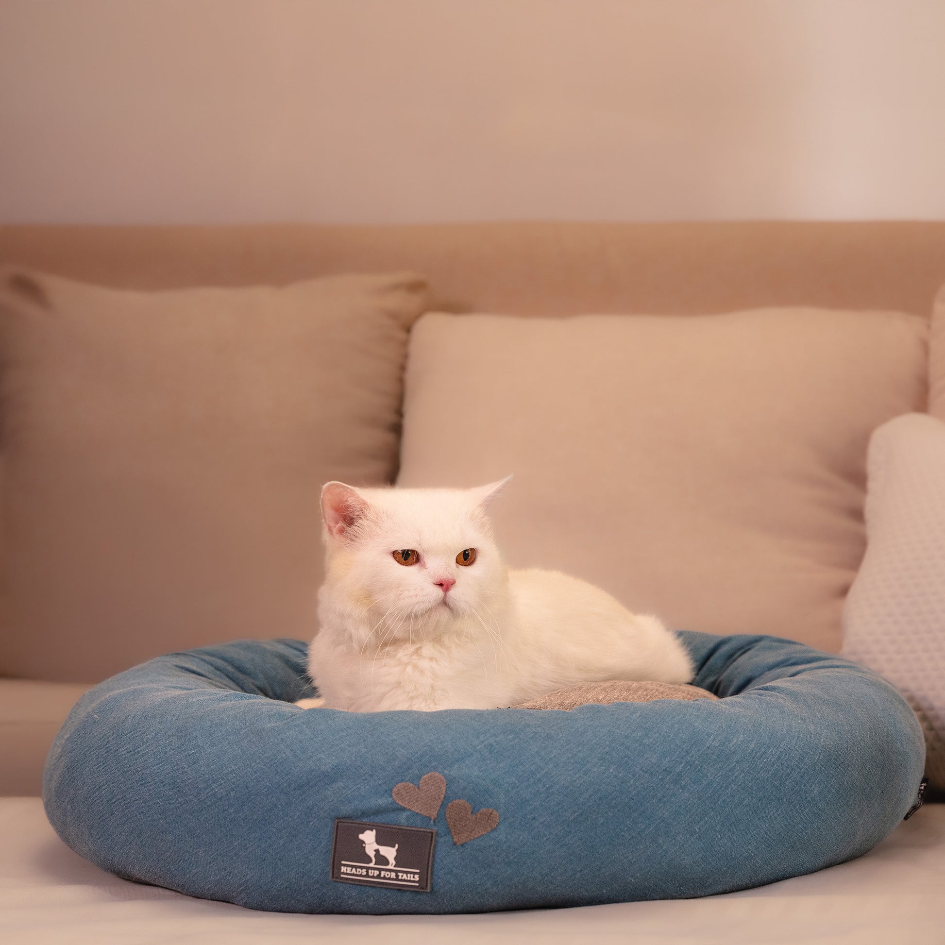 HUFT Dreamy Donut Bed For Cat & Puppy - Teal & Grey - Heads Up For Tails