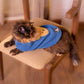 HUFT Snuggle Bear Sweater For Cat - Light Blue - Heads Up For Tails