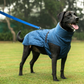 HUFT Snuggle Bug Jacket For Big Dog - Blue - Heads Up For Tails